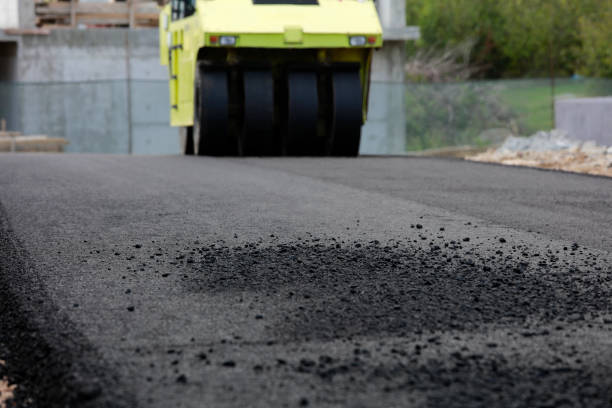 Best Best Driveway Pavers  in Elgin, MN