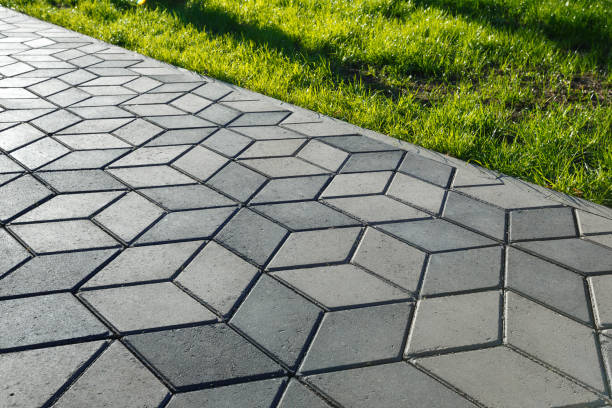 Best Driveway Repair Near Me  in Elgin, MN