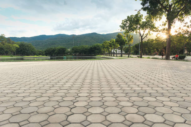 Best Permeable Paver Driveway  in Elgin, MN